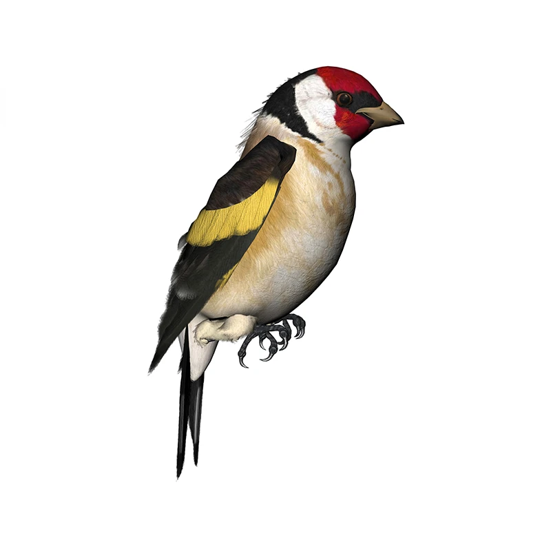 New Design for Tinsel Finches  - đánh giá và giá Tinsel Garland Decoration